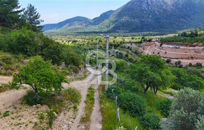 DATÇA HIZIRŞAHTA İÇİNDE TINYHOUSE OLAN MEYVE BAHÇESİ YOLU OLAN 