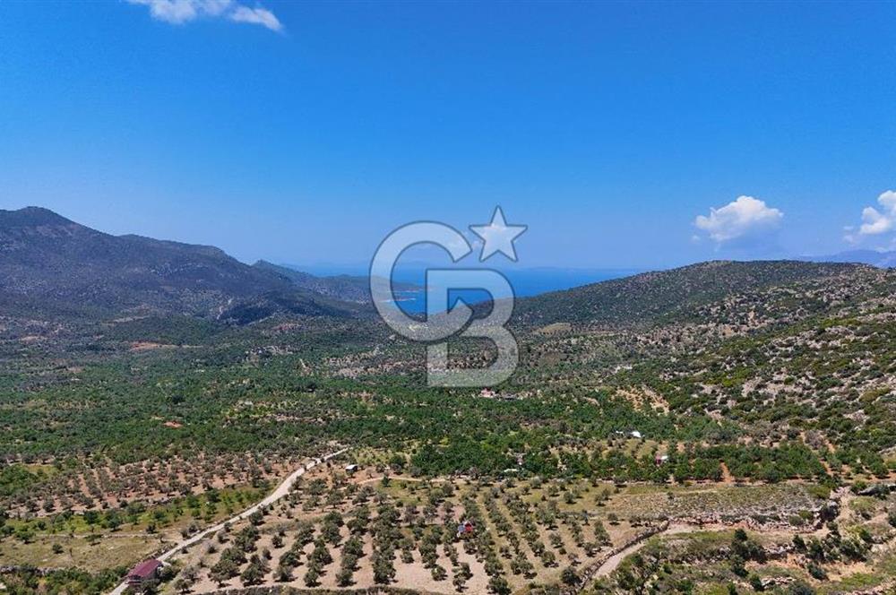 Datça Cumalı’da Bademlik Arazide Yatırım ve Huzur Fırsatı!