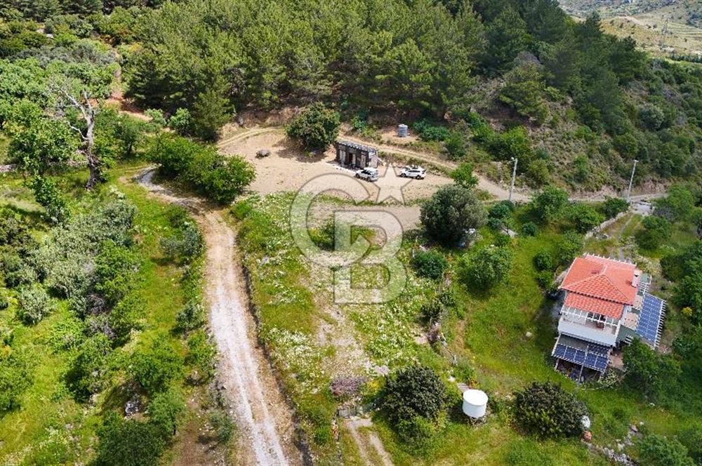 DATÇA HIZIRŞAHTA İÇİNDE TINYHOUSE OLAN MEYVE BAHÇESİ YOLU OLAN 