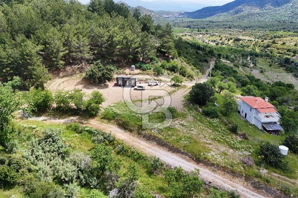 DATÇA HIZIRŞAHTA İÇİNDE TINYHOUSE OLAN MEYVE BAHÇESİ YOLU OLAN 