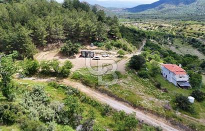 DATÇA HIZIRŞAHTA İÇİNDE TINYHOUSE OLAN MEYVE BAHÇESİ YOLU OLAN 