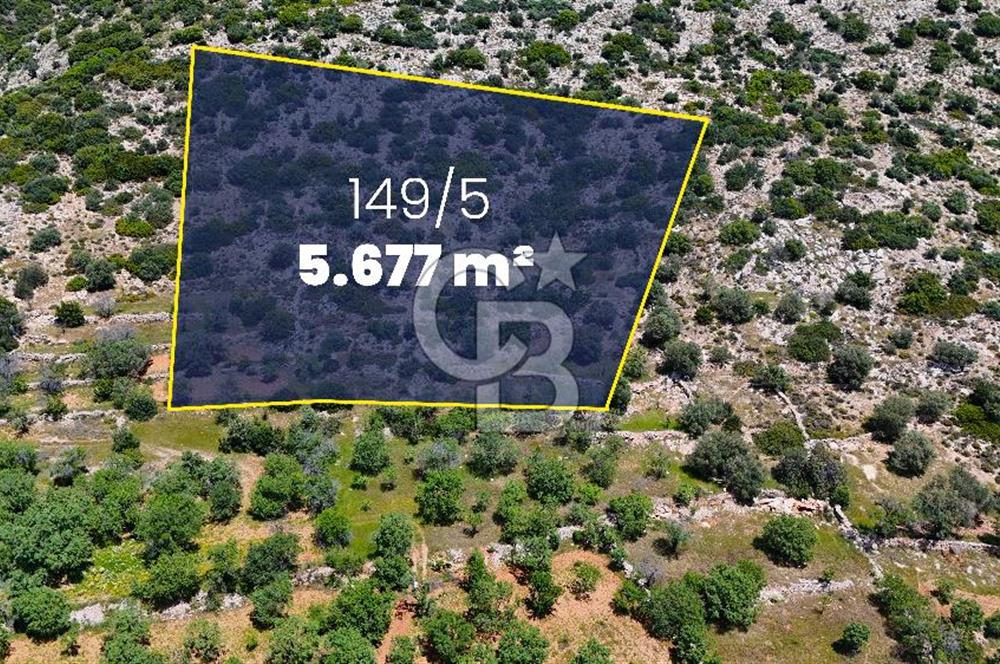 Datça Cumalı’da Bademlik Arazide Yatırım ve Huzur Fırsatı!