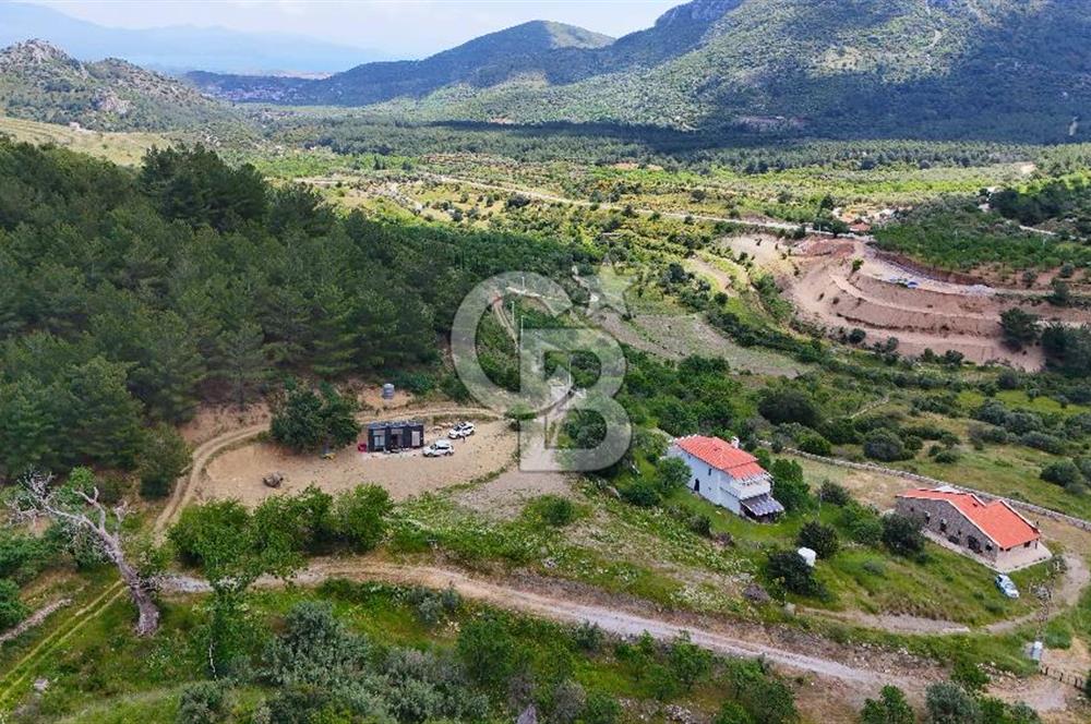 DATÇA HIZIRŞAHTA İÇİNDE TINYHOUSE OLAN MEYVE BAHÇESİ YOLU OLAN 
