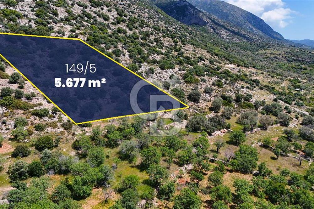 Datça Cumalı’da Bademlik Arazide Yatırım ve Huzur Fırsatı!