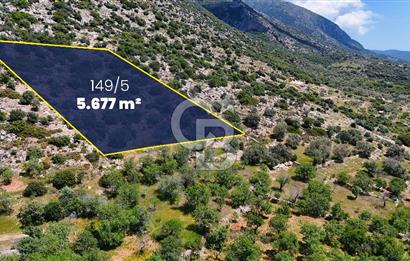 Datça Cumalı’da Bademlik Arazide Yatırım ve Huzur Fırsatı!