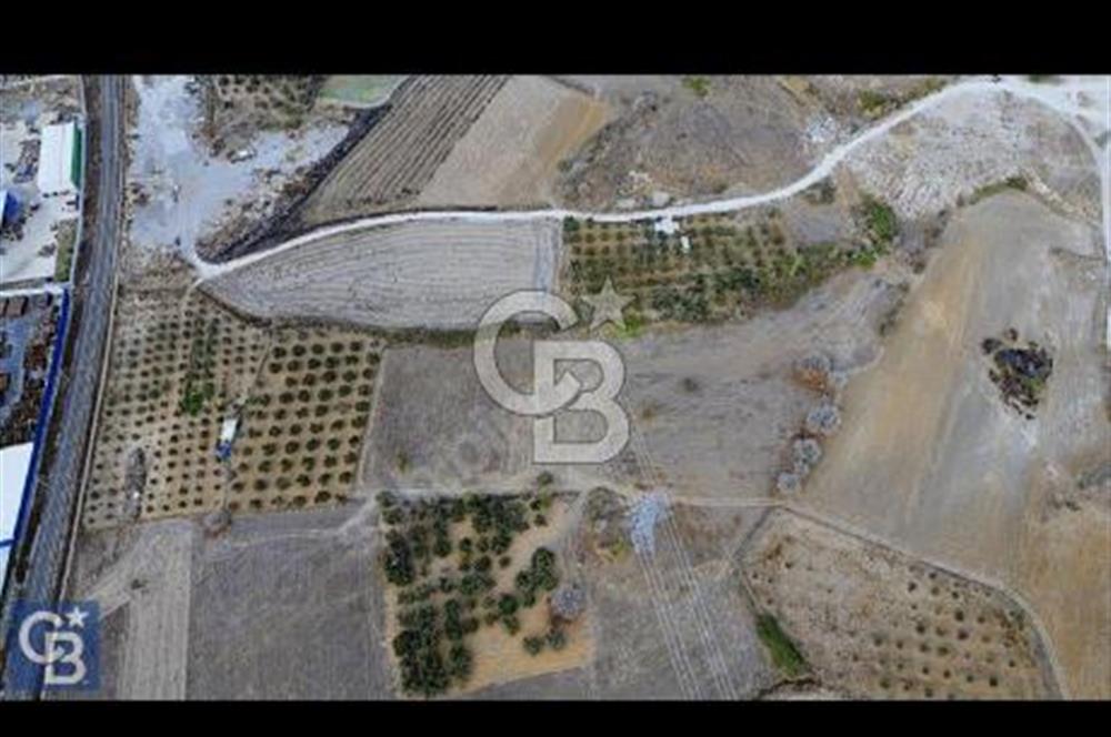 ALİAĞA ŞEHİTKEMAL KÖYÜN'DE ÇANAKKALE YOLUNA 200 MT SATILIK TARLA