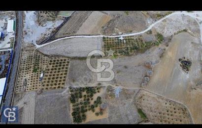ALİAĞA ŞEHİTKEMAL KÖYÜN'DE ÇANAKKALE YOLUNA 200 MT SATILIK TARLA