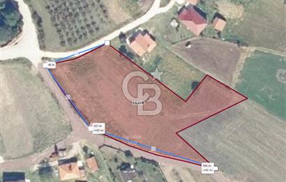 KANDIRA BALLAR'DA ANAYOLA GENİŞ CEPHELİ 5530 M2 SATILIK ARSA