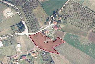 KANDIRA BALLAR'DA ANAYOLA GENİŞ CEPHELİ 5530 M2 SATILIK ARSA