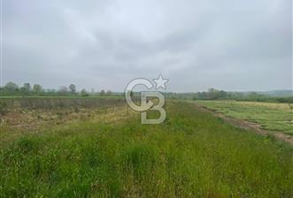 PROJELİ 250M2 BÜYÜKBAŞ HAYVAN & 75M2 ÇİFLİK EVİ RUHSATLI ARAZİ