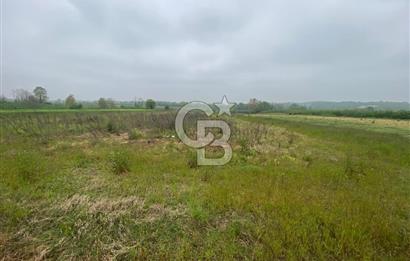 PROJELİ 250M2 BÜYÜKBAŞ HAYVAN & 75M2 ÇİFLİK EVİ RUHSATLI ARAZİ