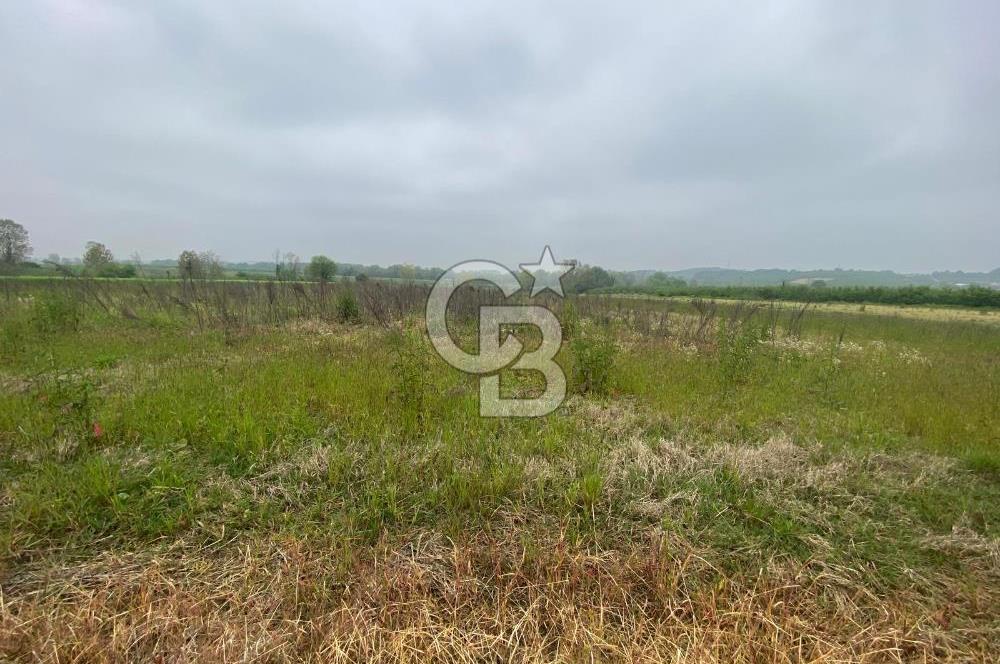 PROJELİ 250M2 BÜYÜKBAŞ HAYVAN & 75M2 ÇİFLİK EVİ RUHSATLI ARAZİ