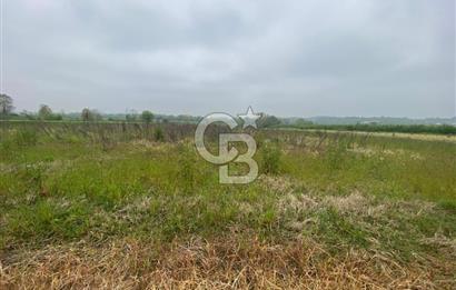PROJELİ 250M2 BÜYÜKBAŞ HAYVAN & 75M2 ÇİFLİK EVİ RUHSATLI ARAZİ