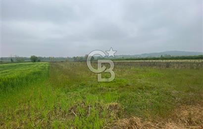 PROJELİ 250M2 BÜYÜKBAŞ HAYVAN & 75M2 ÇİFLİK EVİ RUHSATLI ARAZİ
