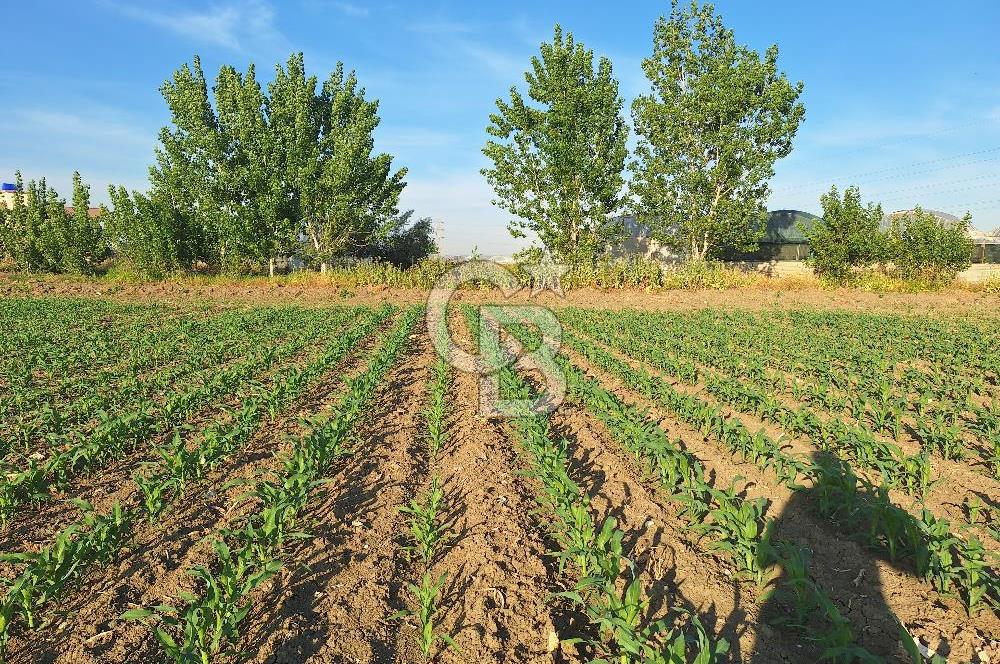 TARSUS KEMALPAŞA MH. SANAYİ İMARLI SATILIK TEK TAPU ARSA