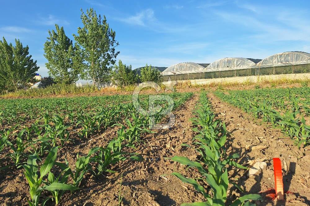 TARSUS KEMALPAŞA MH. SANAYİ İMARLI SATILIK TEK TAPU ARSA
