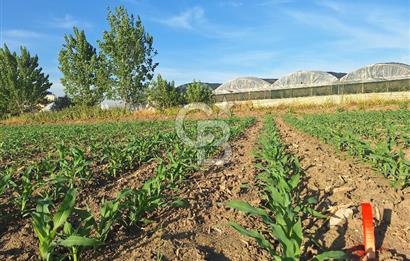 TARSUS KEMALPAŞA MH. SANAYİ İMARLI SATILIK TEK TAPU ARSA