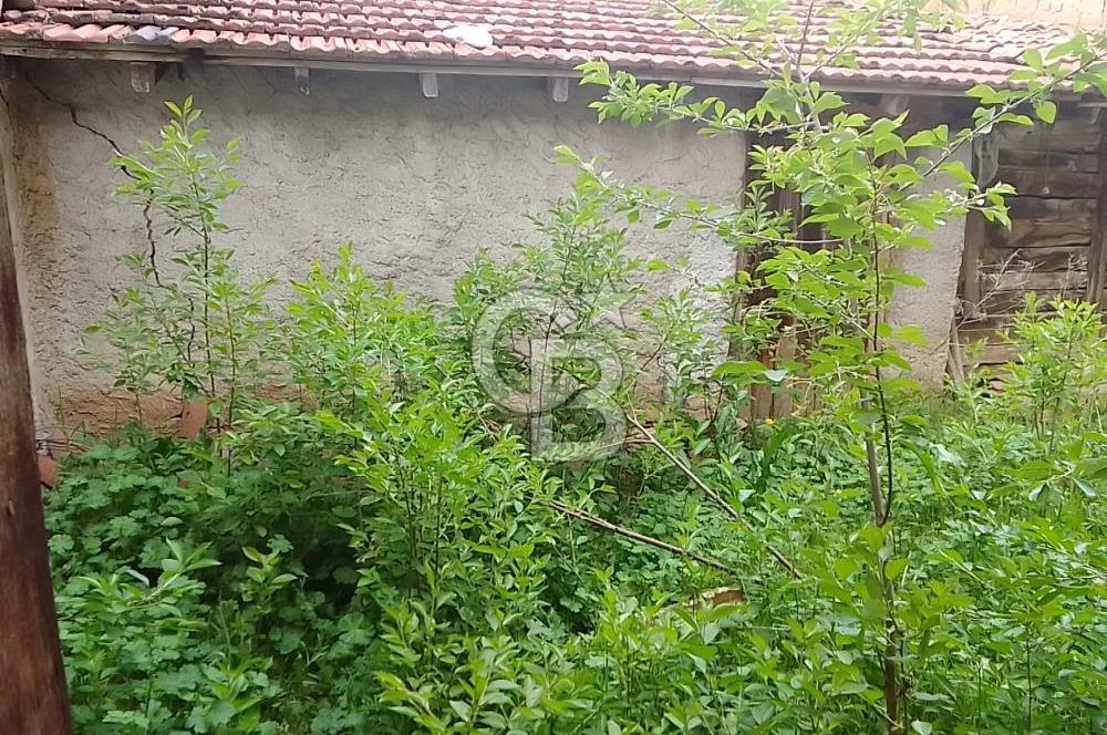 CB ELEGANCE 'DEN SATILIK MÜSTAKİL EV