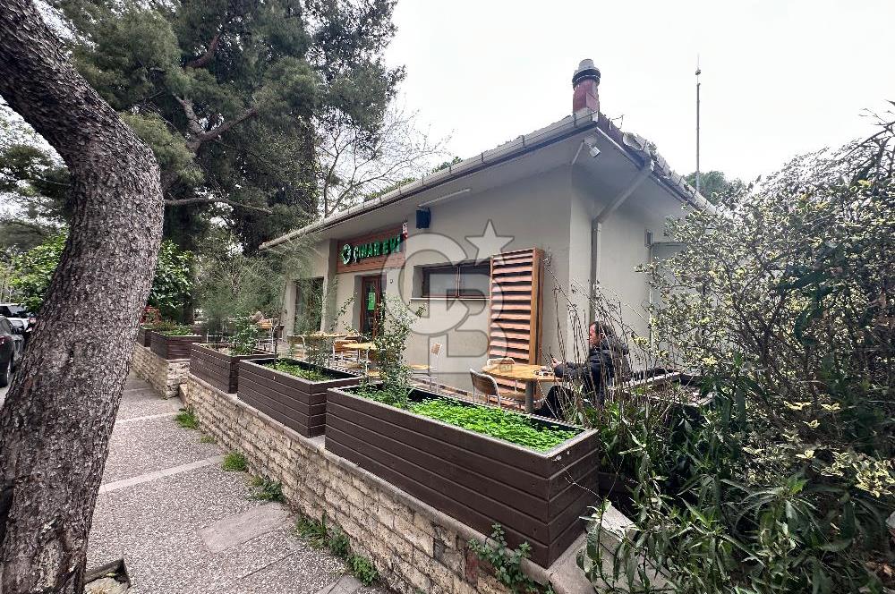 Satılık 3+1 Daire Bornova Büyük park karşısı