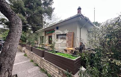 Satılık 3+1 Daire Bornova Büyük park karşısı