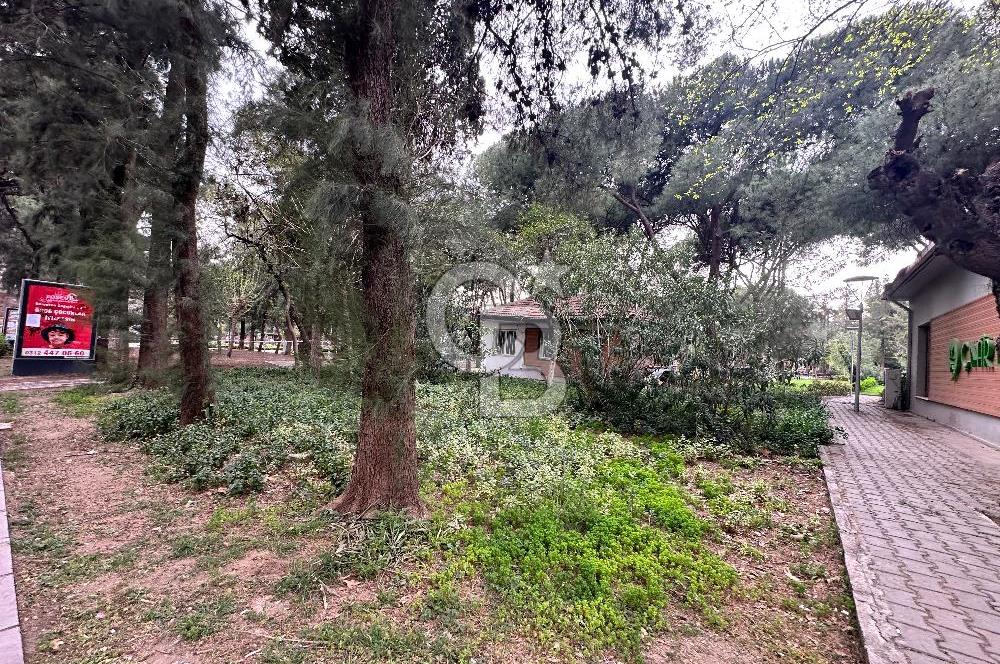 Satılık 3+1 Daire Bornova Büyük park karşısı
