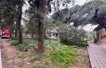 Satılık 3+1 Daire Bornova Büyük park karşısı