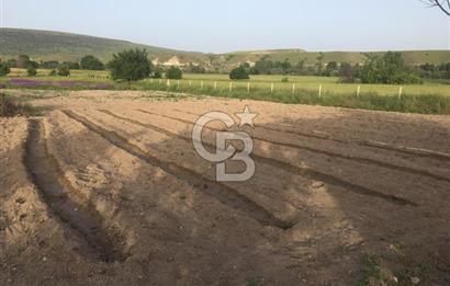 GÜDÜL GÜNEYCEDE TEK TAPU 2 ADET EV VE SATILIK TARLA