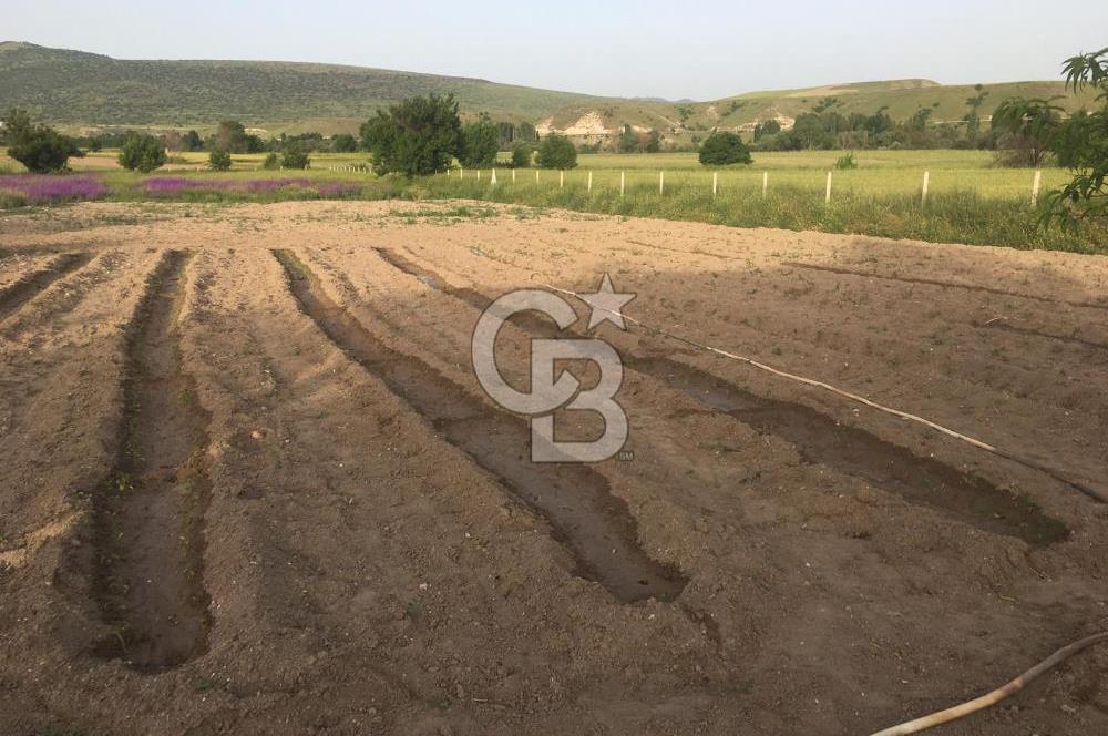 GÜDÜL GÜNEYCEDE TEK TAPU 2 ADET EV VE SATILIK TARLA