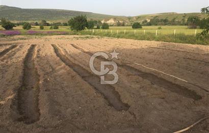 GÜDÜL GÜNEYCEDE TEK TAPU 2 ADET EV VE SATILIK TARLA