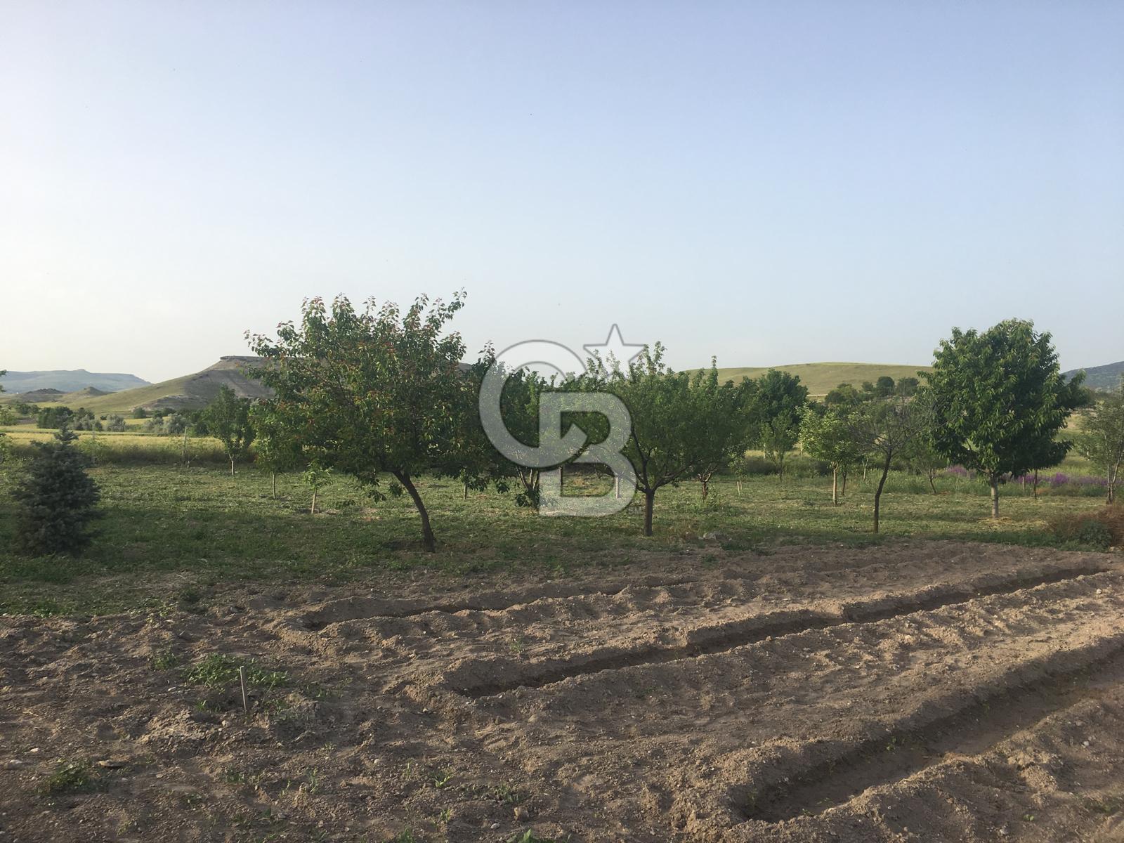 GÜDÜL GÜNEYCEDE TEK TAPU 2 ADET EV VE SATILIK TARLA