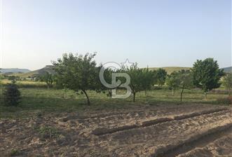 GÜDÜL GÜNEYCEDE TEK TAPU 2 ADET EV VE SATILIK TARLA