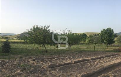 GÜDÜL GÜNEYCEDE TEK TAPU 2 ADET EV VE SATILIK TARLA