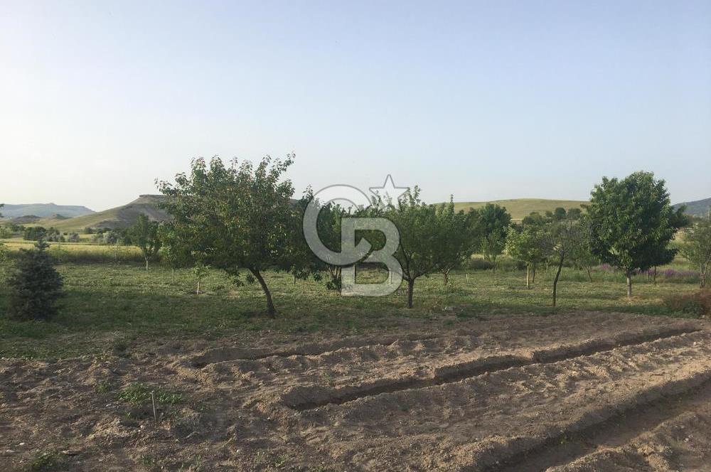 GÜDÜL GÜNEYCEDE TEK TAPU 2 ADET EV VE SATILIK TARLA