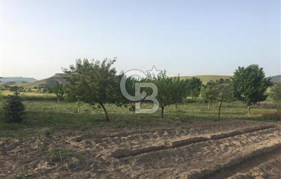 GÜDÜL GÜNEYCEDE TEK TAPU 2 ADET EV VE SATILIK TARLA