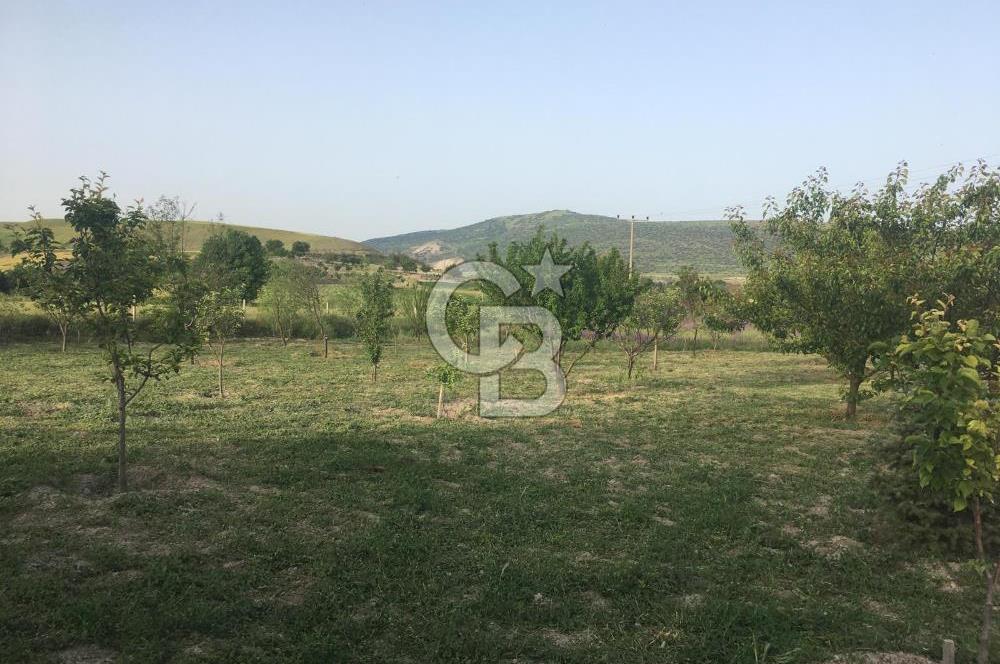 GÜDÜL GÜNEYCEDE TEK TAPU 2 ADET EV VE SATILIK TARLA