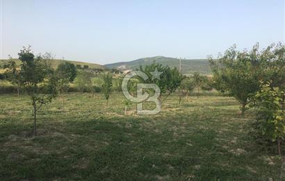 GÜDÜL GÜNEYCEDE TEK TAPU 2 ADET EV VE SATILIK TARLA