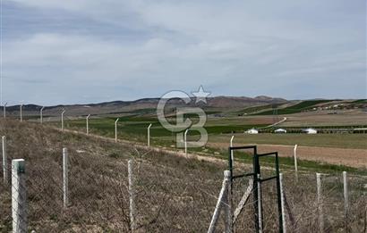 GÖLBAŞI GÜNALAN SATILIK İMARLI 500M2 ARSA