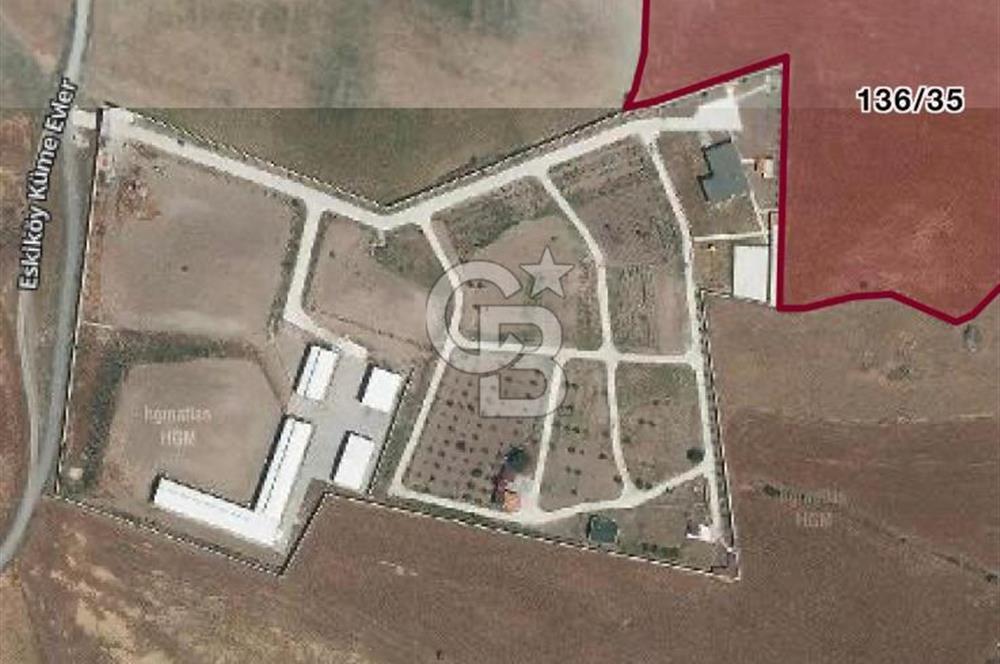 ANKARA KALECİK ESKİKÖY YATIRIMLIK 20 DÖNÜM TARLA