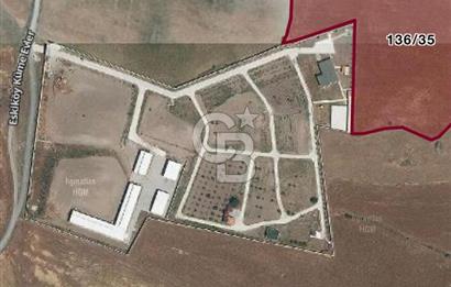 ANKARA KALECİK ESKİKÖY YATIRIMLIK 20 DÖNÜM TARLA