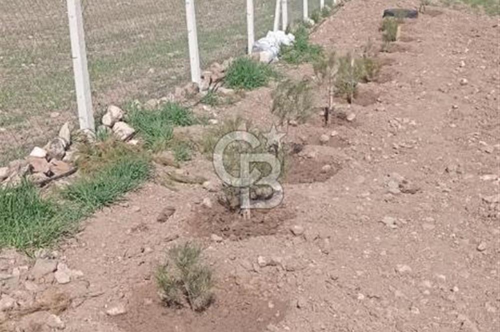 ANKARA SİNCAN POLATLAR DA SATILIK 5002 M2