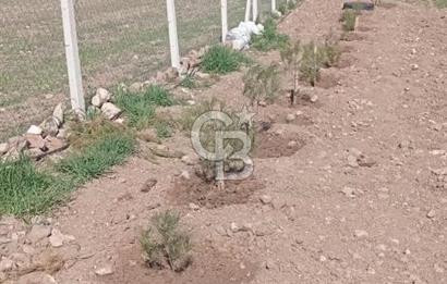 ANKARA SİNCAN POLATLAR DA SATILIK 5002 M2