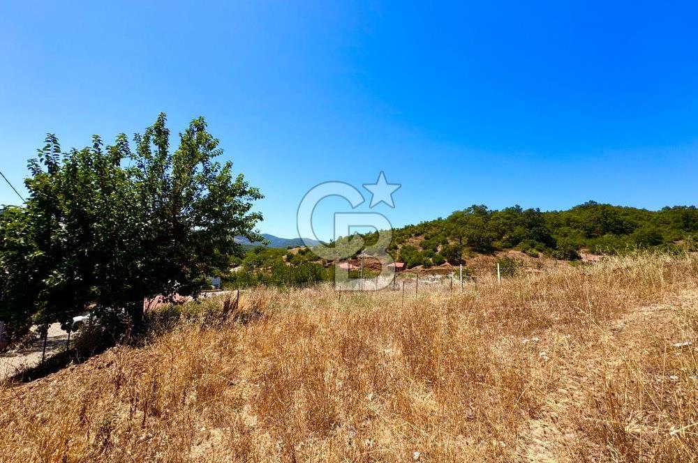 ÇANAKKALE BİGA CAMİALAN KÖYÜ SATILIK ARSA