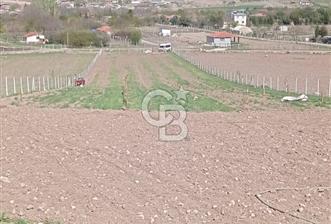 ANKARA SİNCAN POLATLAR DA SATILIK 5002 M2