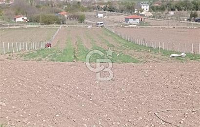 ANKARA SİNCAN POLATLAR DA SATILIK 5002 M2