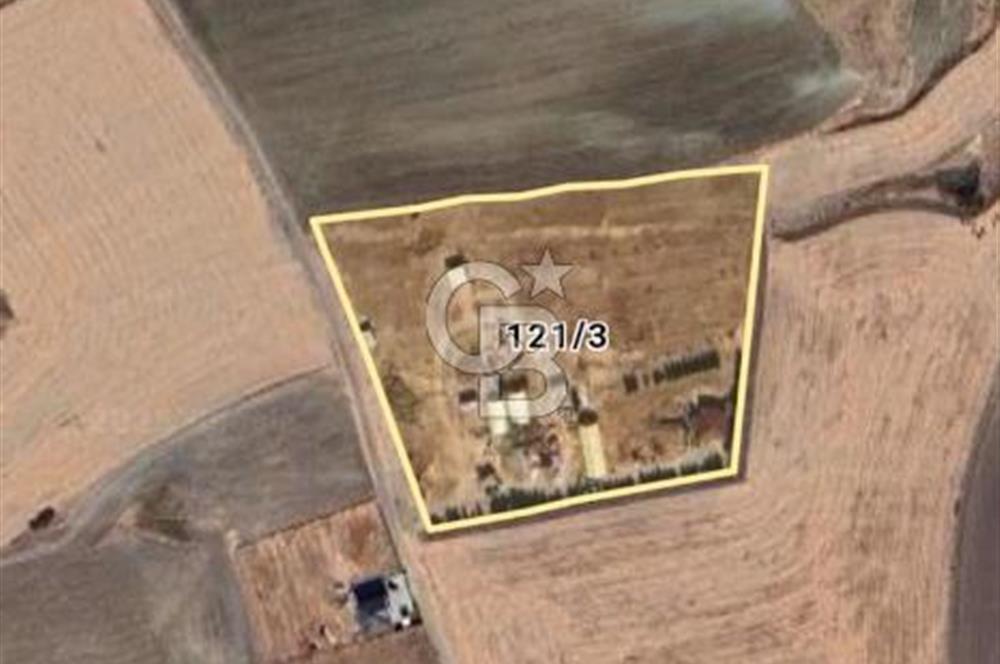 ANKARA SİNCAN POLATLAR DA SATILIK 16830 M2 TEK TAPU BAHÇE