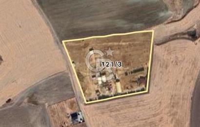 ANKARA SİNCAN POLATLAR DA SATILIK 16830 M2 TEK TAPU BAHÇE
