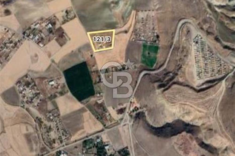 ANKARA SİNCAN POLATLAR DA SATILIK 16830 M2 TEK TAPU BAHÇE