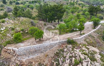 Datça Mesudiyede Satılık 381 m2 Tarla