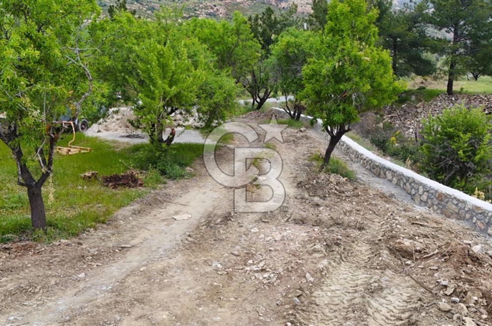 Datça Mesudiyede Satılık 381 m2 Tarla