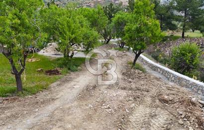 Datça Mesudiyede Satılık 381 m2 Tarla
